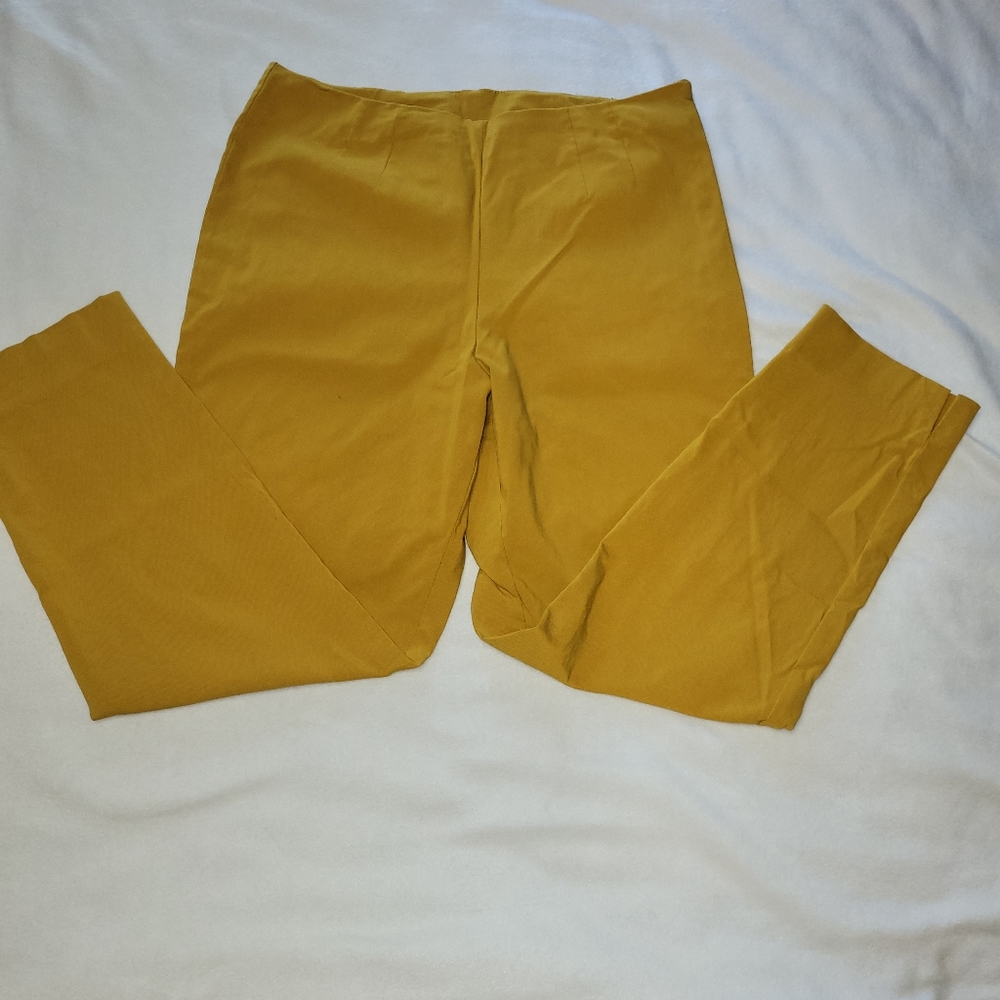 Ankle length slim fit pants